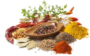 group of spices